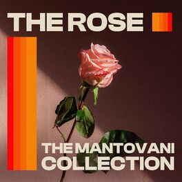 The Mantovani Collection - The Rose
